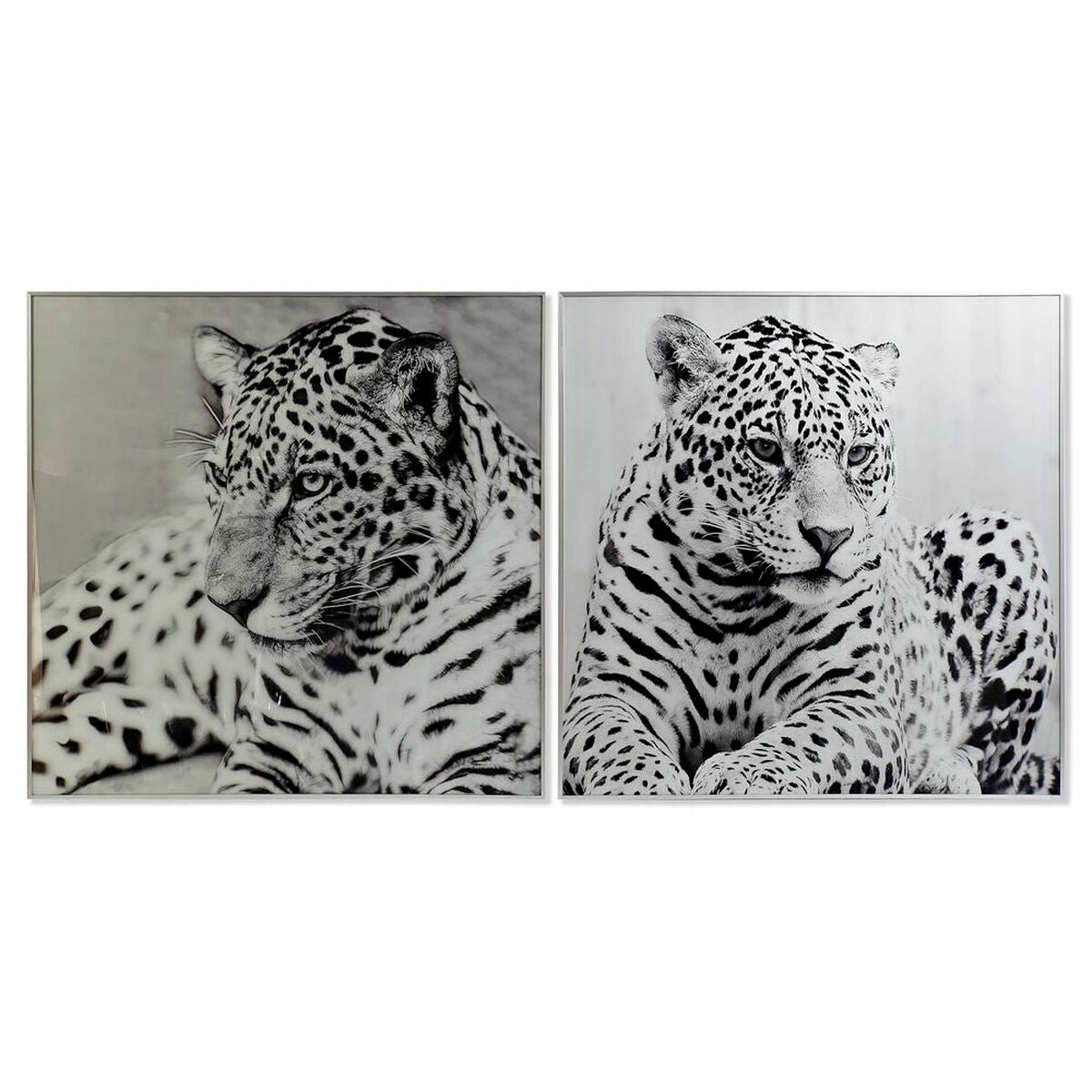 Tavla Leopard Kolonial, 100x100 cm - 2 st, elegans till ditt hem.